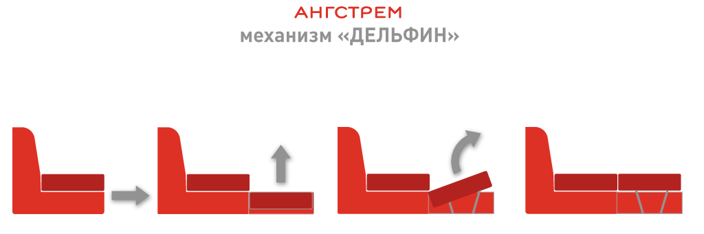 дельфин.png дельфин.png